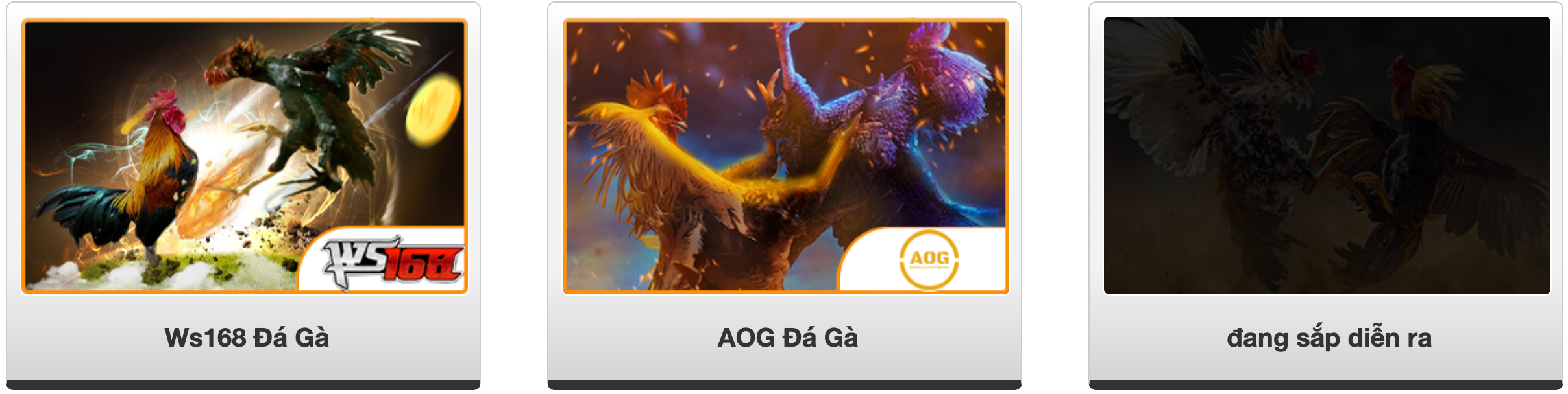 Đá Gà 8us Đá Gà 8us