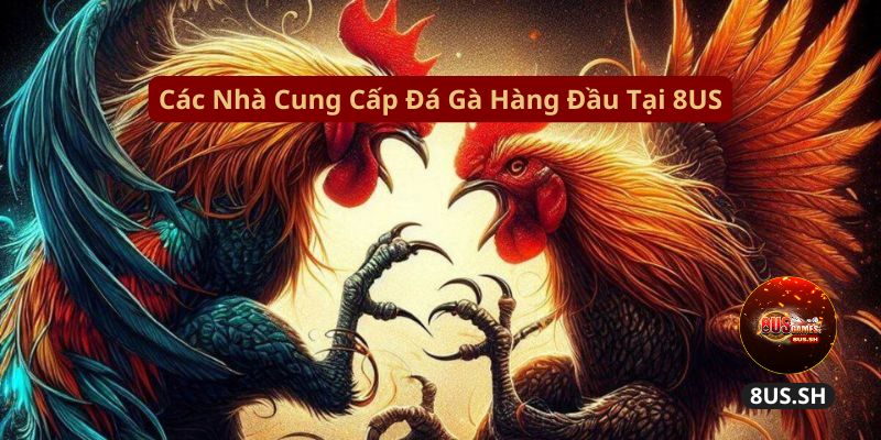 Đá Gà 8US: Nơi Đặt Cược Các Trận Đấu Đỉnh Cao 2025 4 cac-nha-cung-cap-da-ga-hang-dau-tai-8us