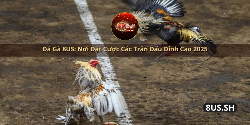 da-ga-8us-noi-dat-cuoc-cac-tran-dau-dinh-cao-2025