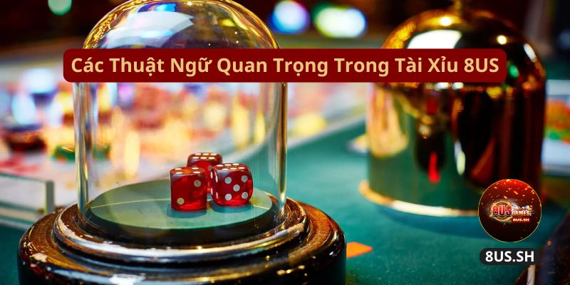 Tài xỉu 8US: Trò Chơi Cược Đỉnh Cao Dành Cho Mọi Người cac thuat ngu quan trong trong tai xiu 8us | Tài xỉu 8US: Trò Chơi Cược Đỉnh Cao Dành Cho Mọi Người