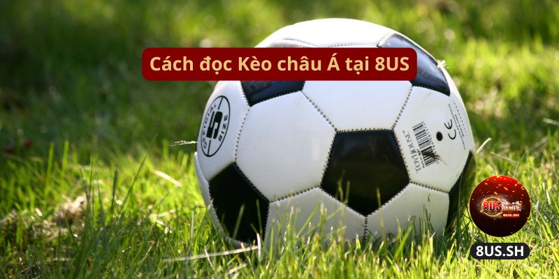 Kèo Châu Á 8US: Hướng Dẫn Chi Tiết Cách Đọc Cho Tân Thủ 2025 2 cach doc keo chau a tai 8us