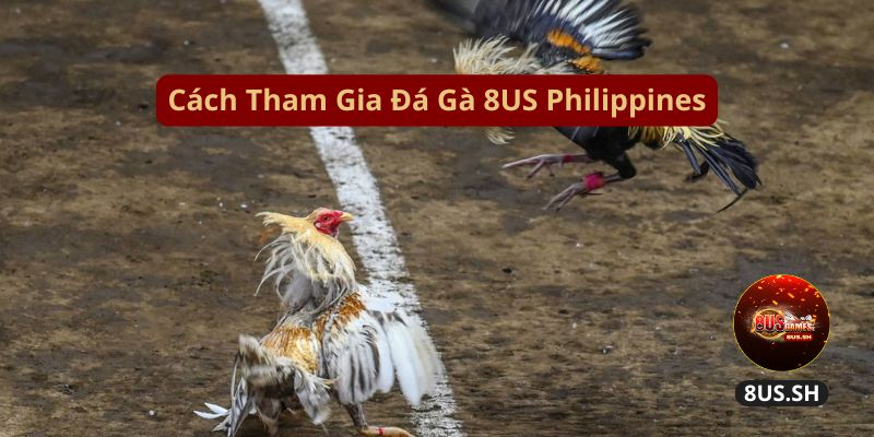 Đá Gà Philippines 4.0: 8US Trang Kiếm Tiền Thông Thái 2 cach tham gia da ga 8us philippines