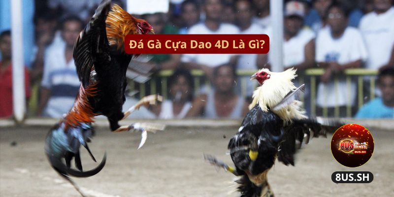 Đá Gà Cựa Dao