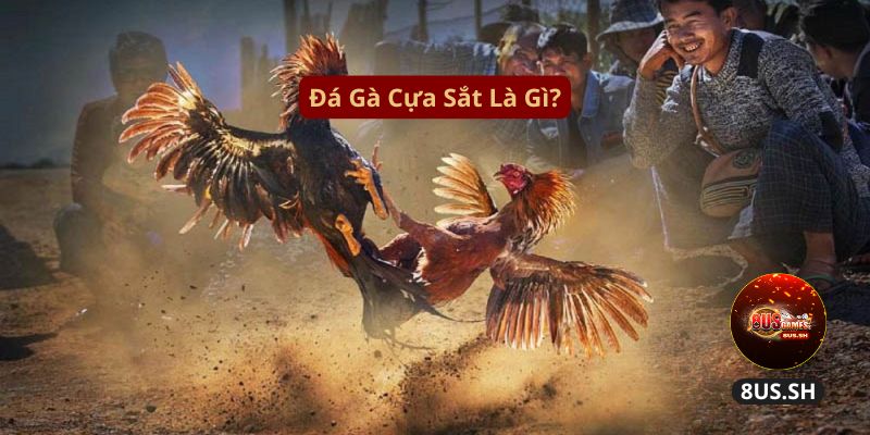 Đá Gà Cựa Sắt
