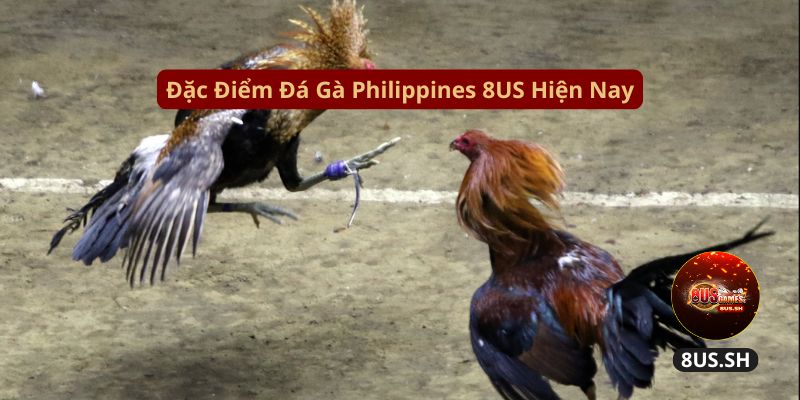 dac diem da ga philippines 8us hien nay