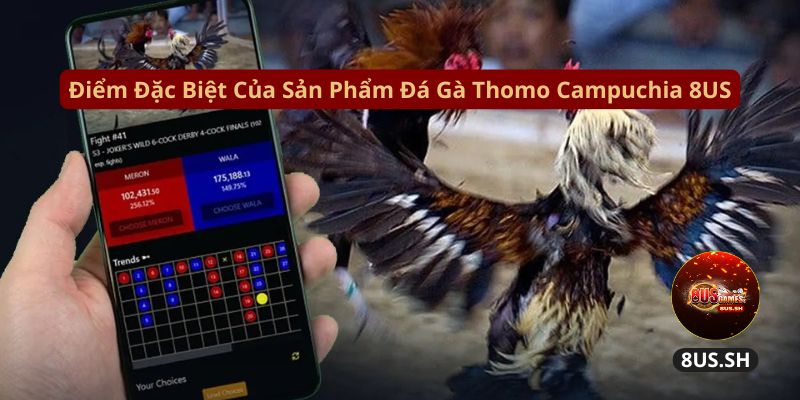Đá Gà Campuchia 8US: Hệ Thống Đá Gà Online Hấp Dẫn 2025 3 Đá Gà Campuchia