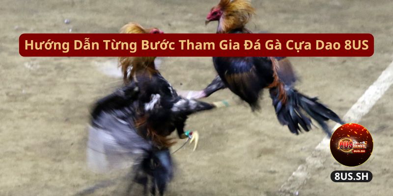 Đá gà cựa dao 4D: Trò Chơi Cá Độ Kê LIVE 24/7 2 Đá Gà Cựa Dao