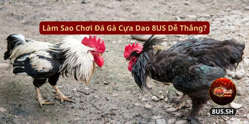 Đá gà cựa dao 4D: Trò Chơi Cá Độ Kê LIVE 24/7 4 lam sao choi da ga cua dao 8us de thang