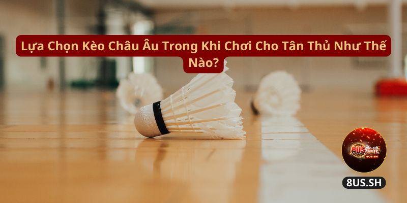 Làm Sao Chơi Kèo Châu Âu 8US Chính Xác Và Thắng Lớn? 4 Kèo Châu Âu