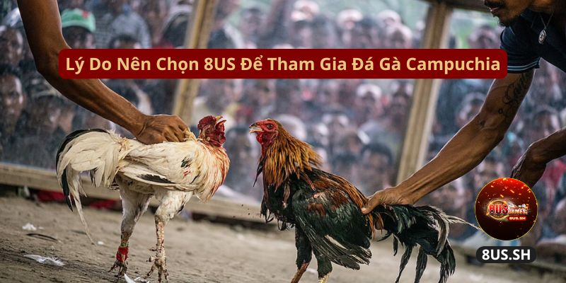Đá Gà Campuchia 8US: Hệ Thống Đá Gà Online Hấp Dẫn 2025 4 Đá Gà Campuchia