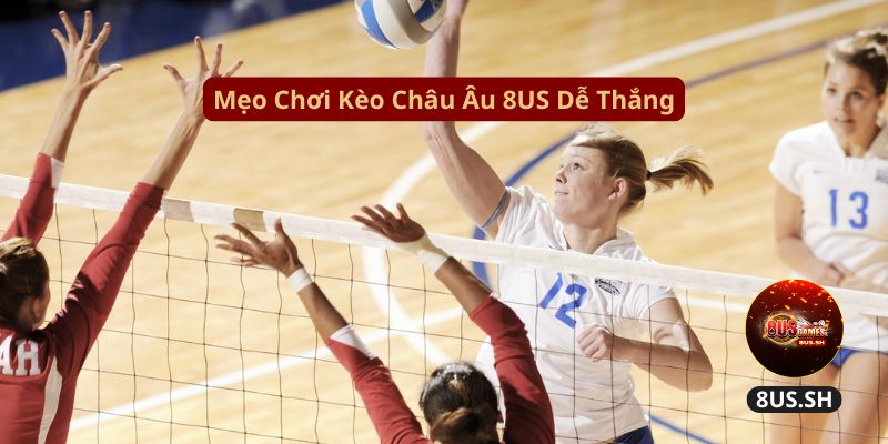 Làm Sao Chơi Kèo Châu Âu 8US Chính Xác Và Thắng Lớn? 3 Kèo Châu Âu