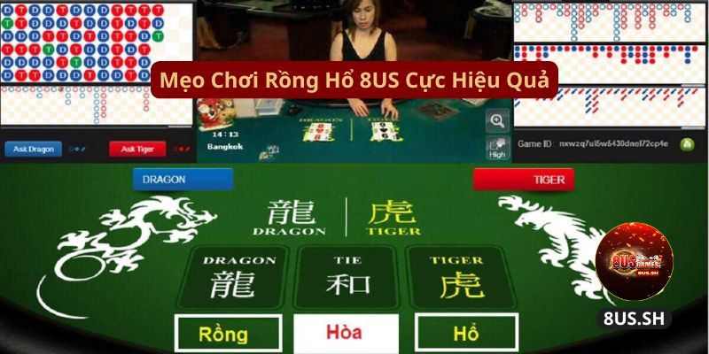 Làm Sao Game Bài Rồng Hổ 8US Có Cơ Hội Kiếm Tiền Lớn? meo choi rong ho 8us cuc hieu qua | Làm Sao Game Bài Rồng Hổ 8US Có Cơ Hội Kiếm Tiền Lớn?