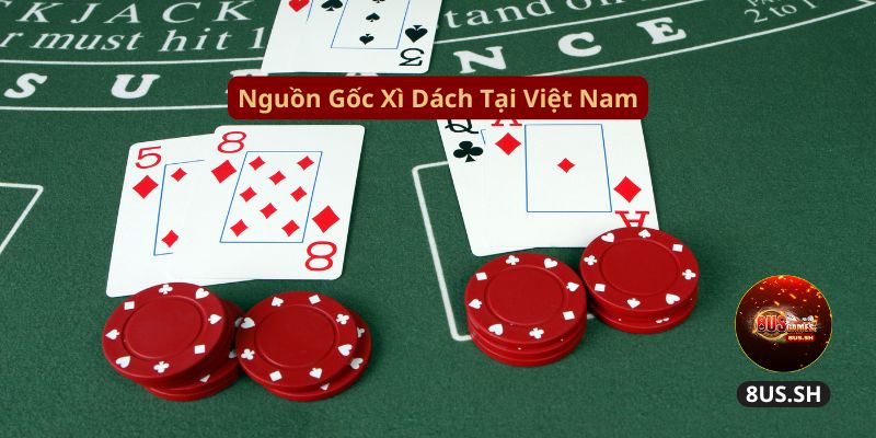 xì dách 8US