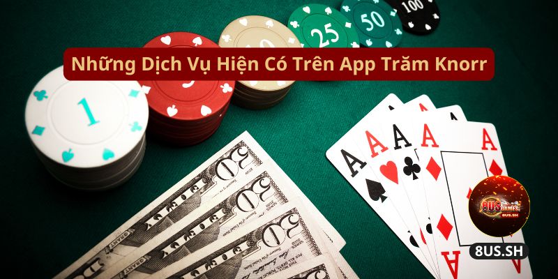 Vì Sao Nhà Cái 8US Cộng Tác Cùng App Trăm Knorr Năm 2025? 2 Trăm Knorr