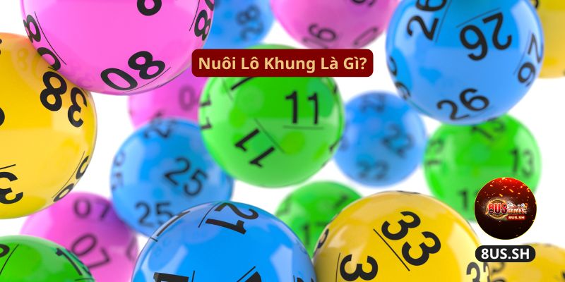 nuoi lo khung la gi (1)