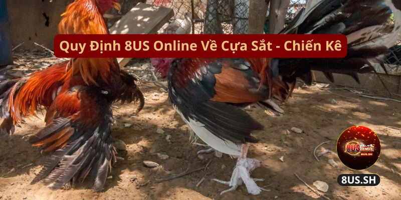 Đá Gà Campuchia 8US: Hệ Thống Đá Gà Online Hấp Dẫn 2025 2 Đá Gà Campuchia